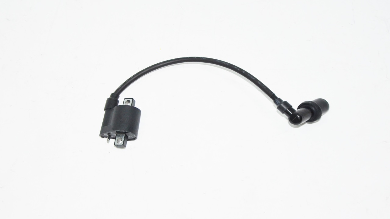 ATEŞLEME BOBİNİ (ROCCA 100)